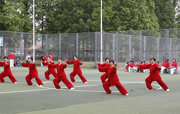 13.JPG