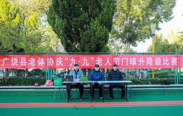 绿茵传情谊、银龄绽风采——东营市广饶县老年人门球升降级比