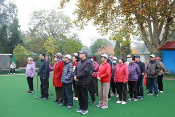 绿茵场地展风采 门球竞技乐晚年——东营市广饶县老体协门球单